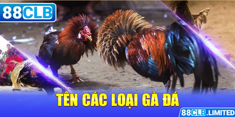 Tên Các Loại Gà Đá